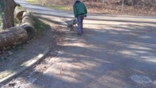 a02de608-409b-4f7e-b80e-c58a829fa1da